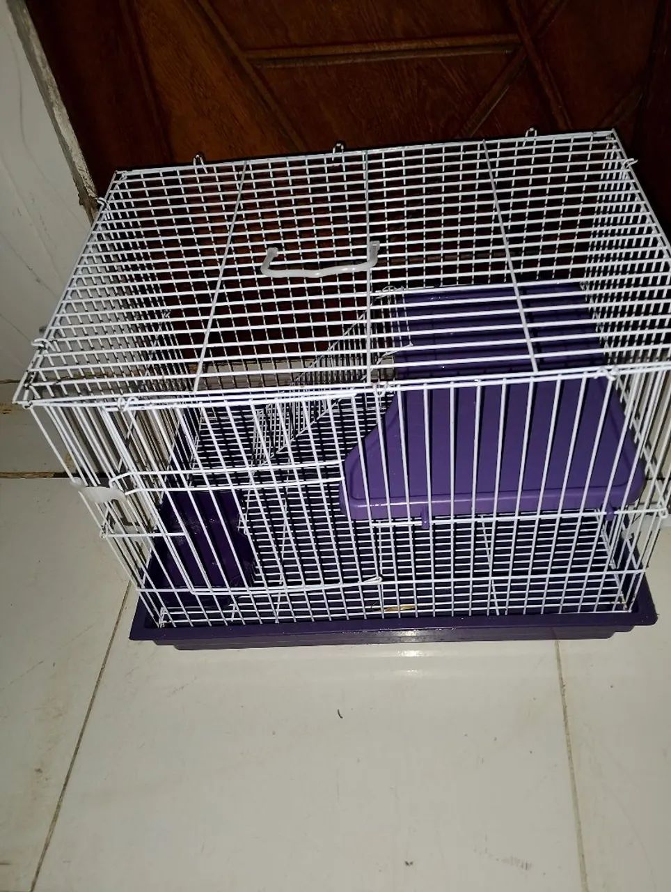 Gaiola porquinho da índia 64962661067521121