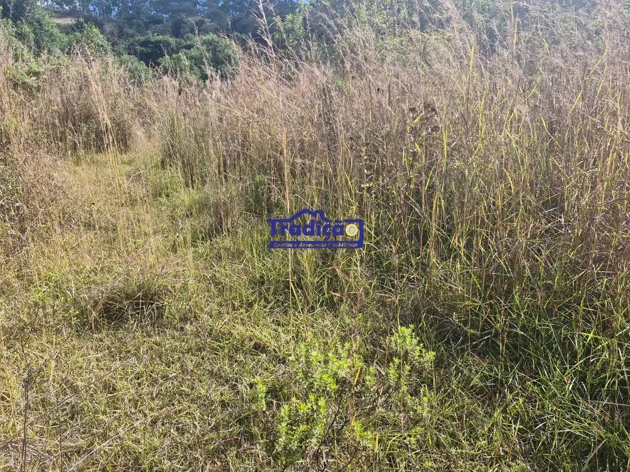 Terreno   Rural  em Oliveira - MG - Foto 3