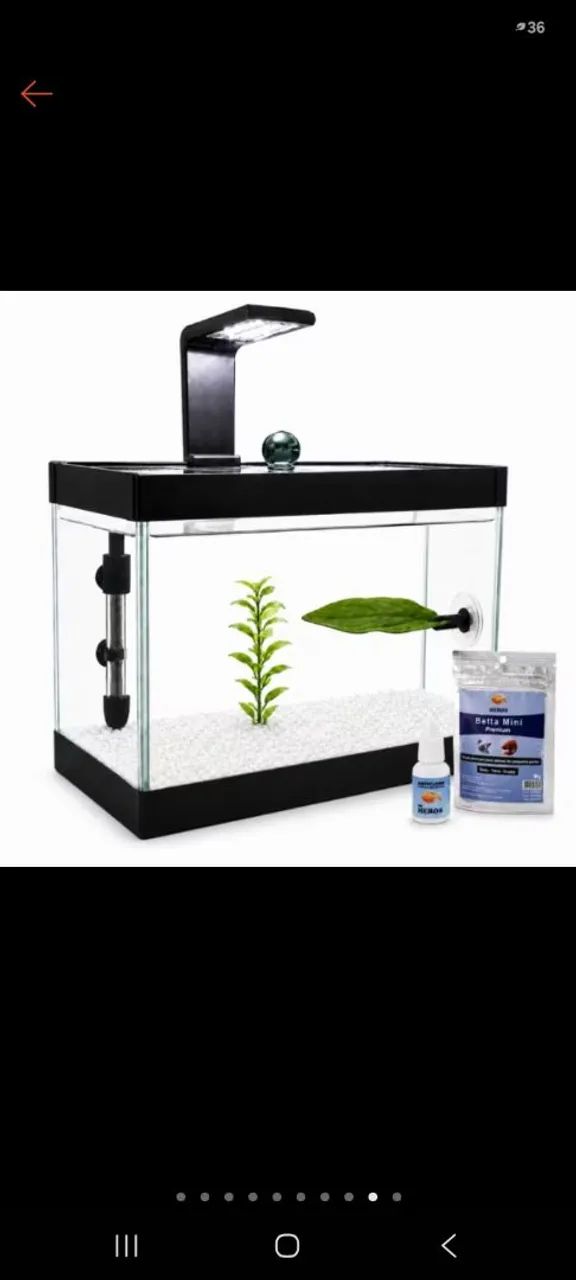 Mini aquário 2 litros para peixe Betta 