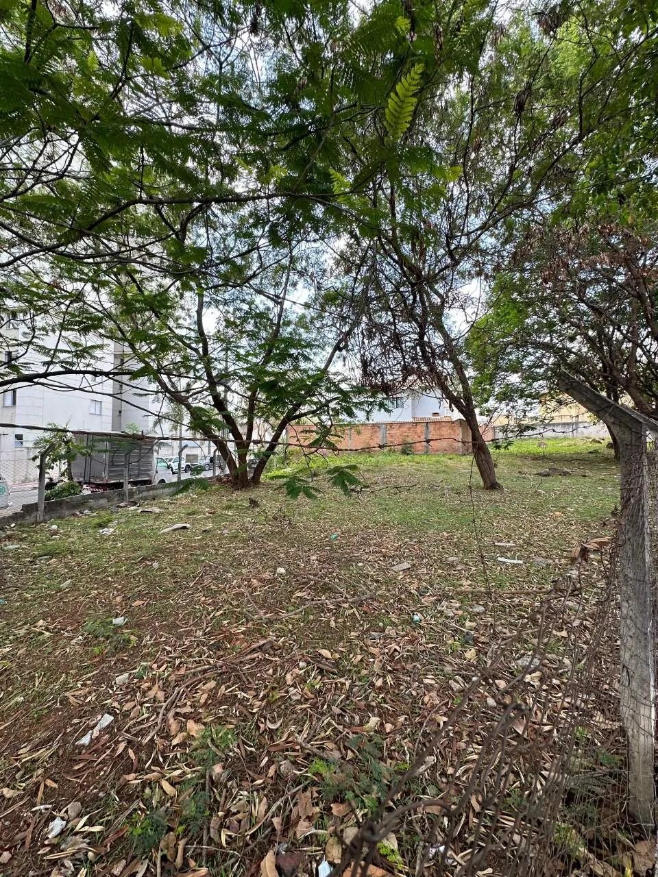 Lote para locação.