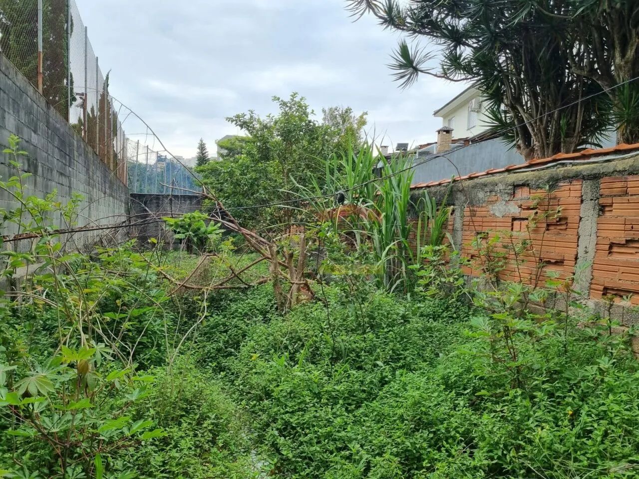 TERRENO OPORTUNIDADE HORTO FLORESTAL - Foto 4