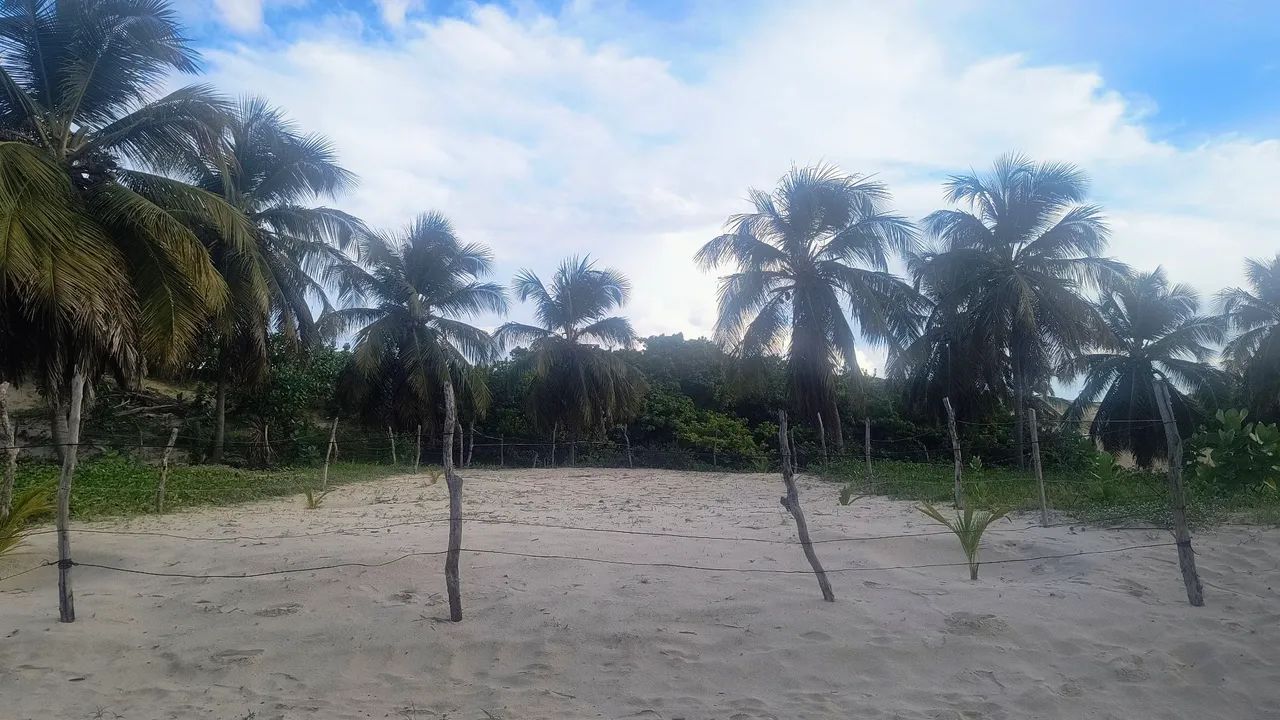 Terreno em Icaraí de Amontada  - Foto 3