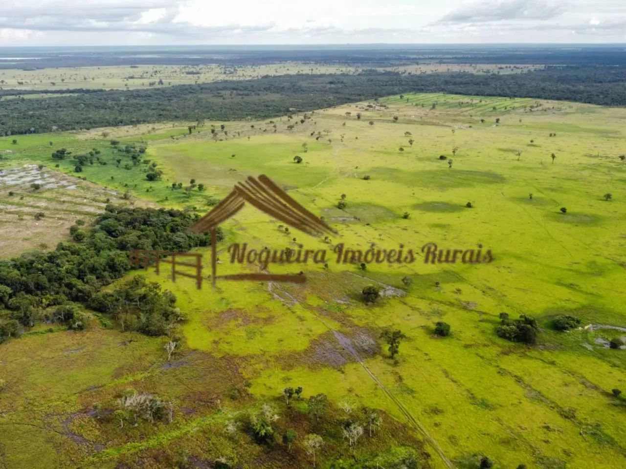 Fazenda com 130 alqueirão à venda no Tocantins - Foto 5