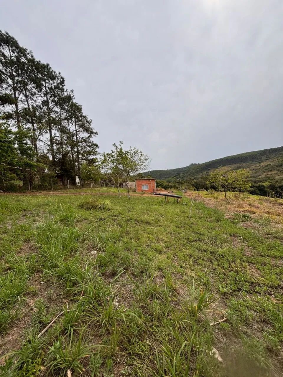 Terrenos para chácara  - Foto 4