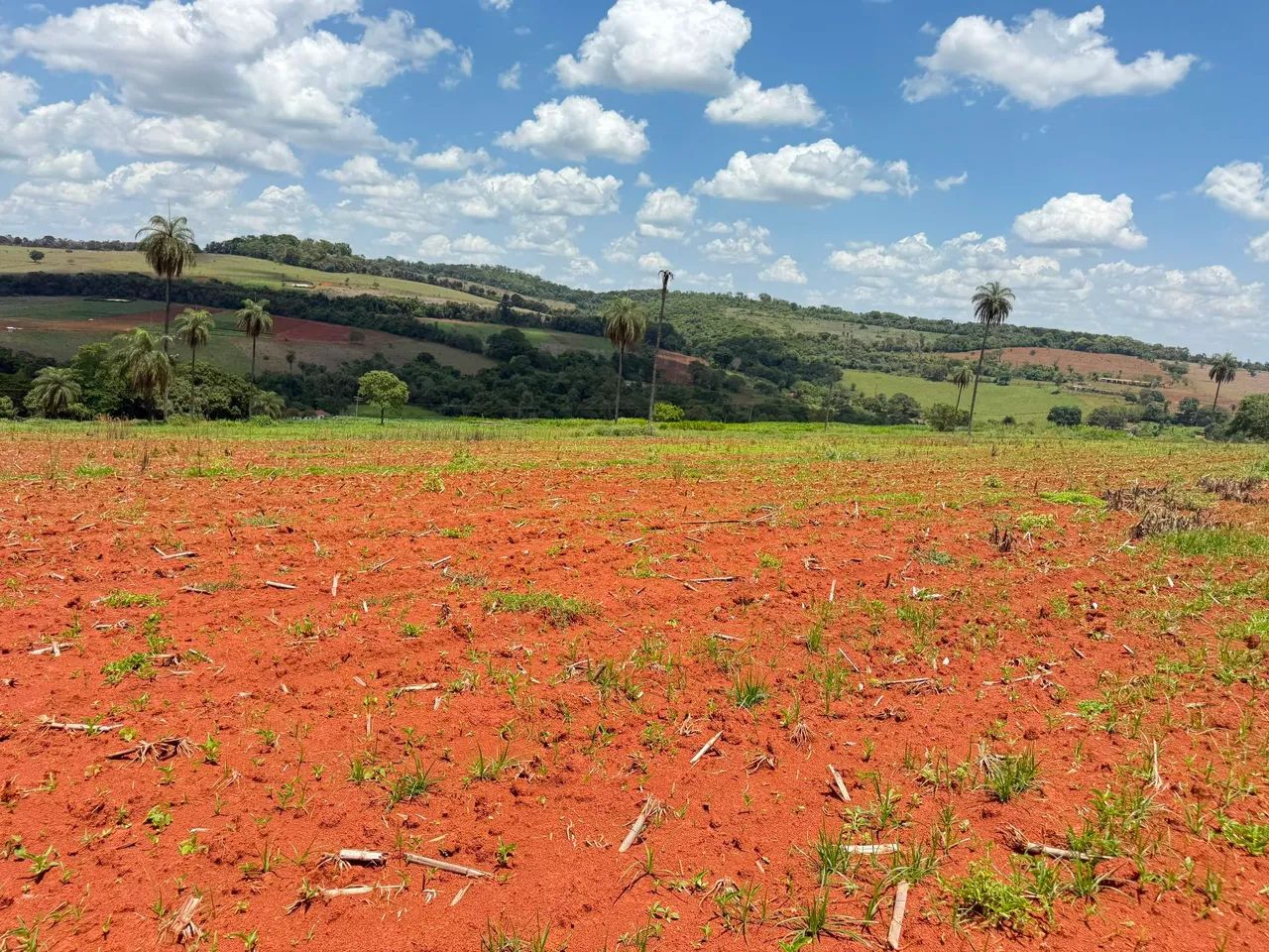Fazendinhas em juatuba  - Foto 2