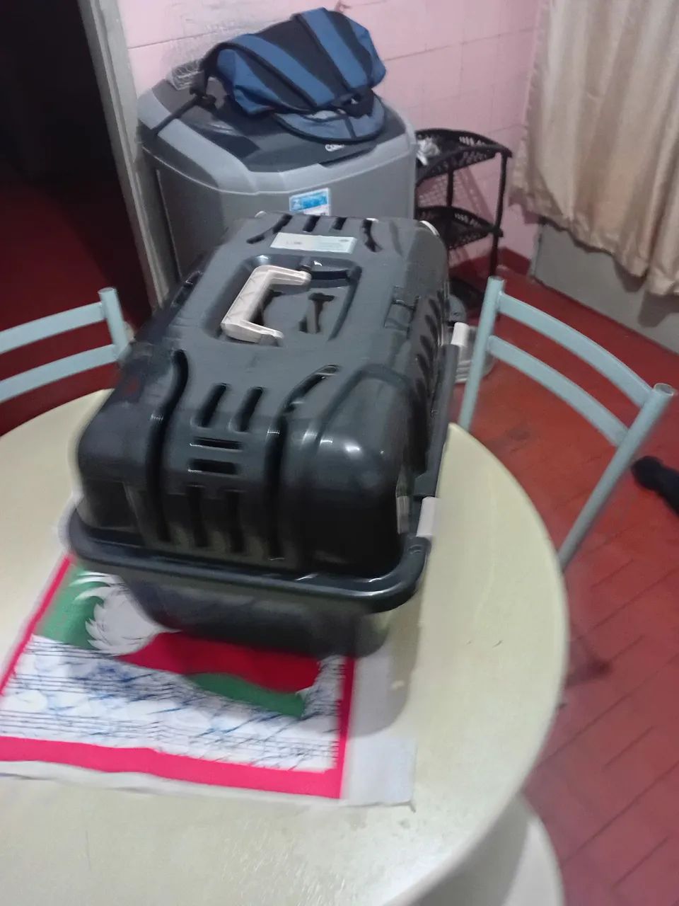 Transporte pet  - Foto 4