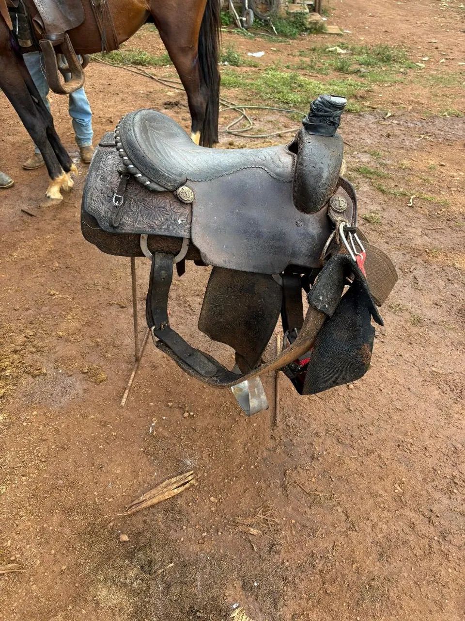 Sela de laço  - Foto 3