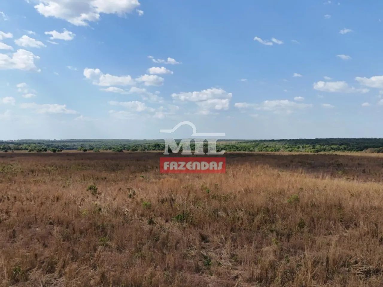 Fazenda 2.120 Hectares em Santa Rita do Tocantins - TO - Foto 3