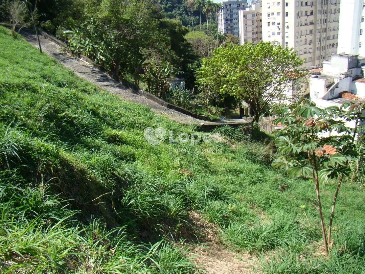 Terreno em Laranjeiras, Rio de Janeiro - Foto 4