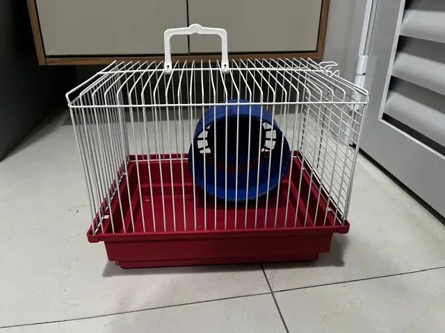 Casinha de hamster pequena64993722721923120