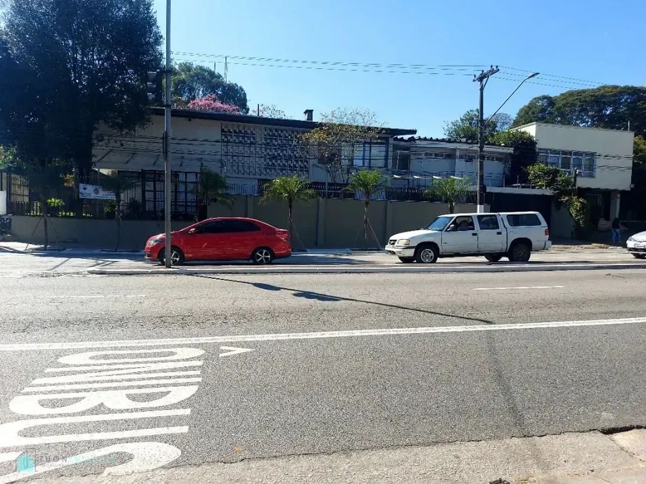 PERDIZES MARAVILHOSA!! - Foto 5