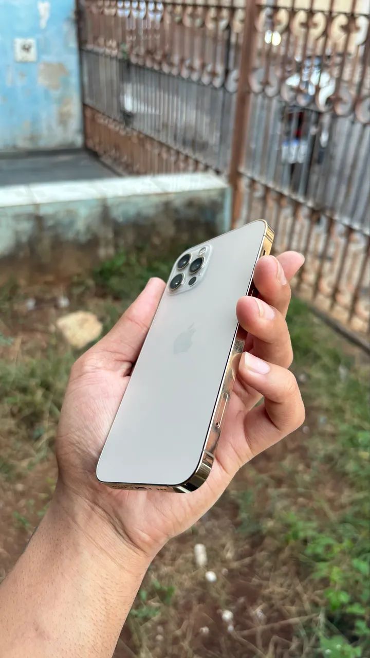 Vendo iPhone 12 Pro Gold 256gb