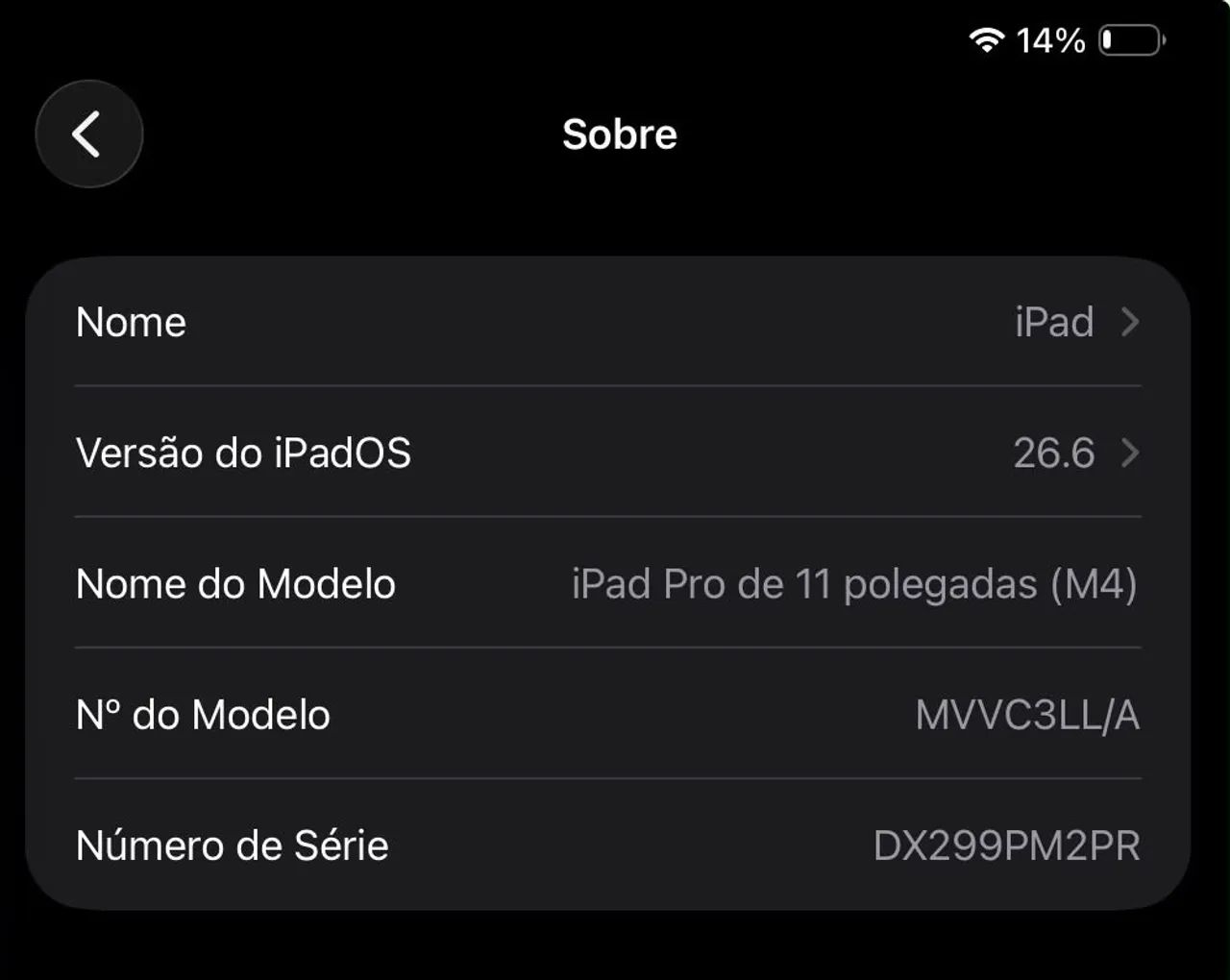 iPad Pro 11 (M4) - Foto 5
