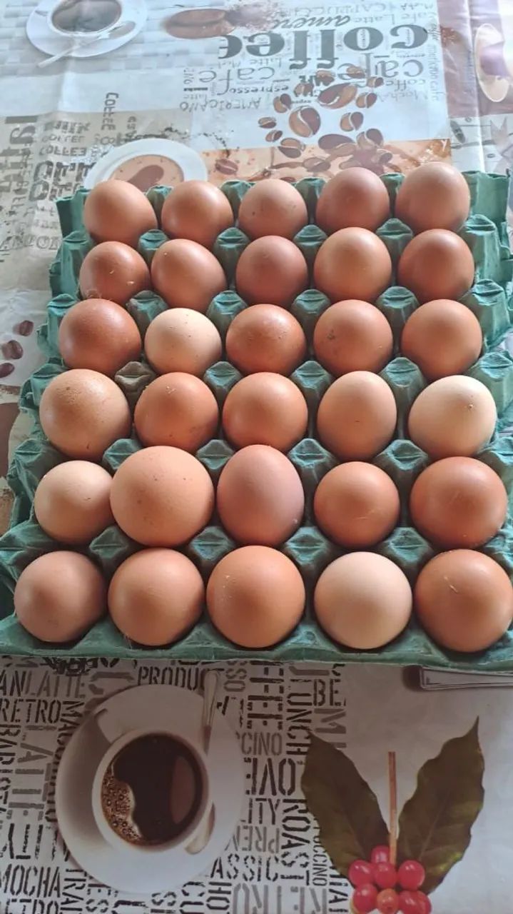 Ovos de galinha caipira - Foto 2
