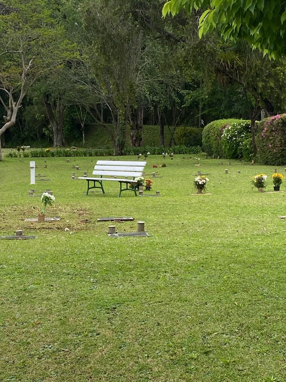 Jazigo -  Cemiterio Parque Iguaçu  - Foto 2
