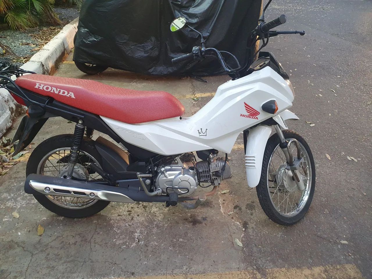 Honda pop 110i