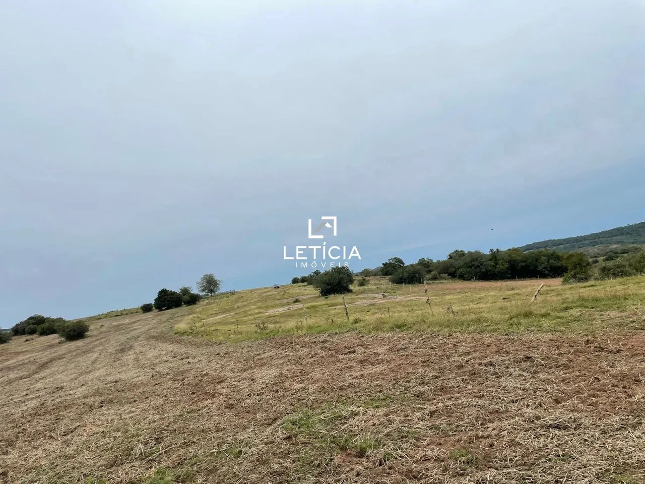 Campo de Pecuária!!! - Foto 5