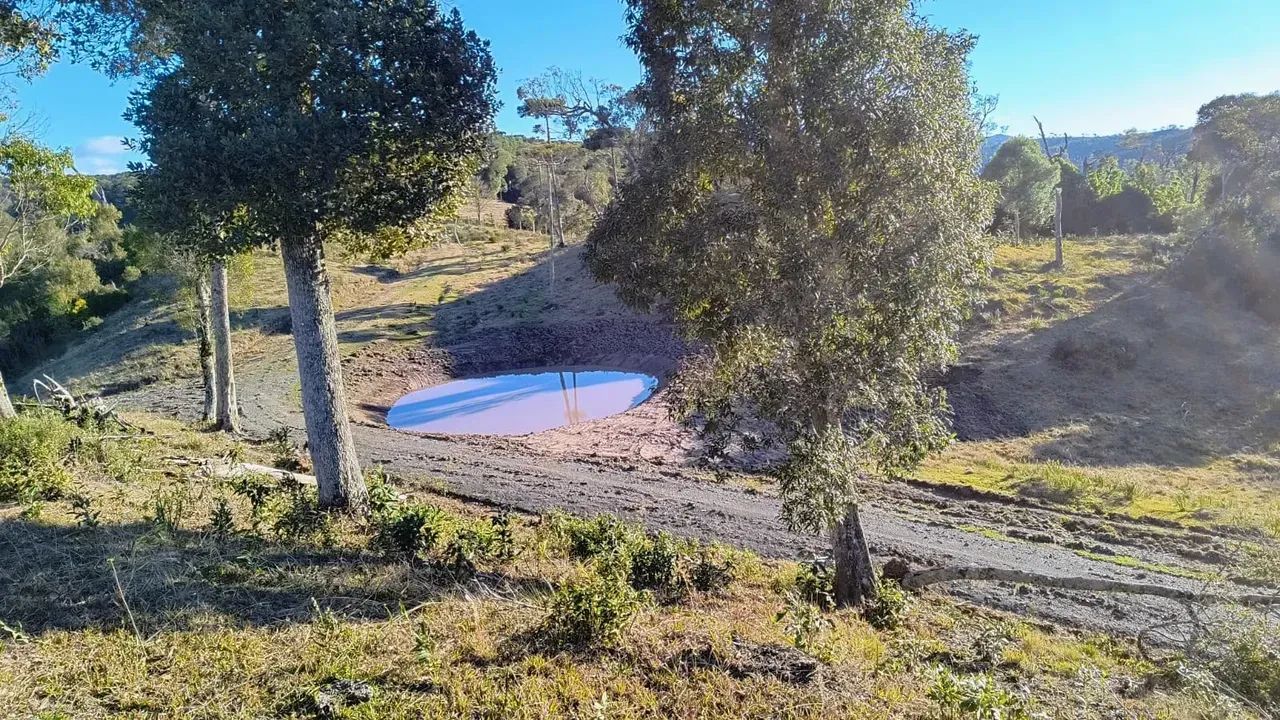6 Hectares à Venda em Bom Retiro-SC - Foto 5