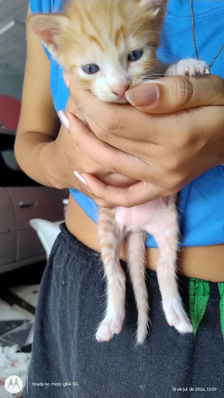Doação  - Foto 4