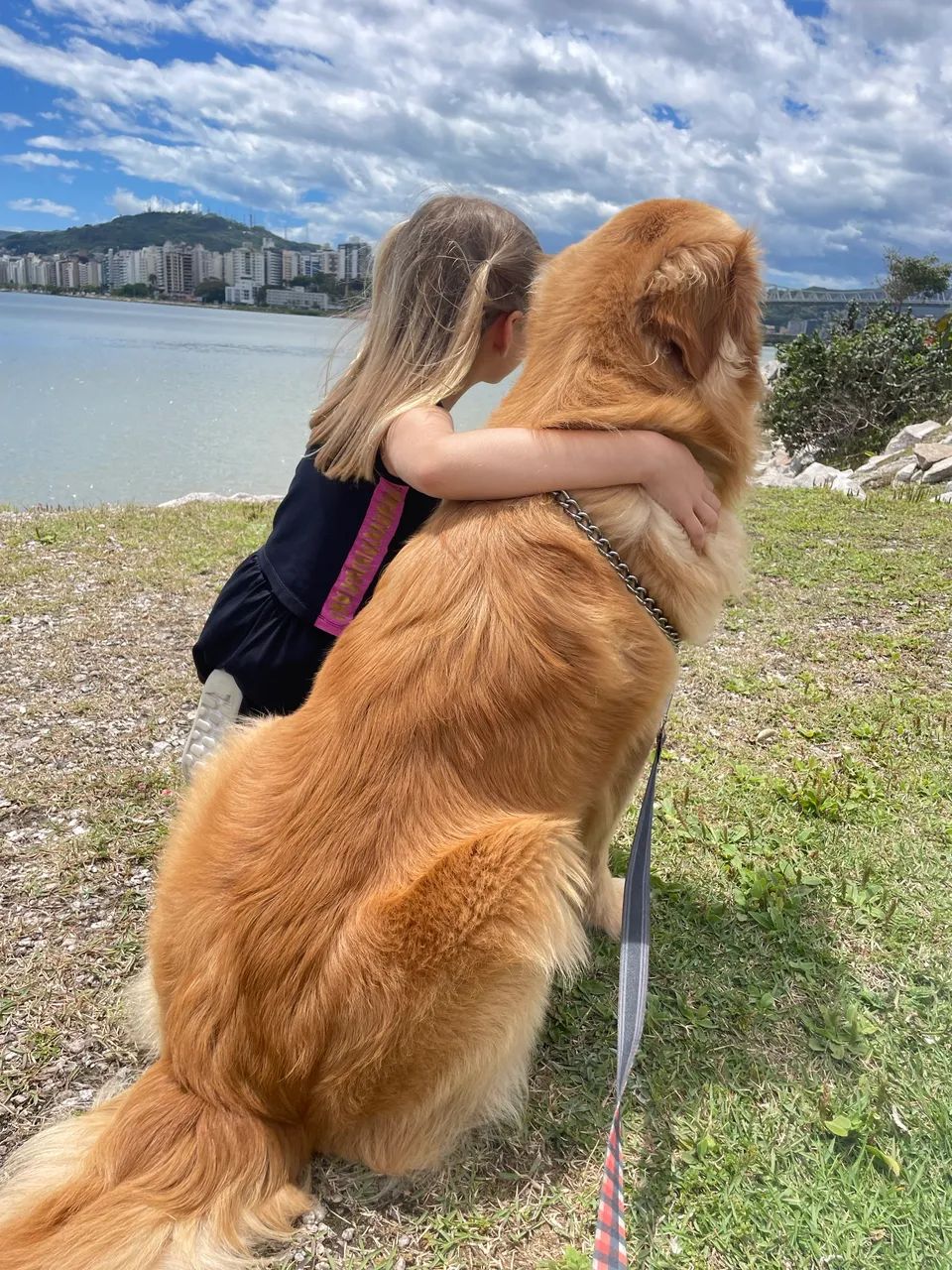 Golden  - Foto 3