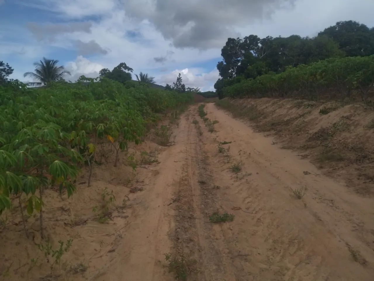 35 tarefas de terra - Malhador/SE - Foto 3