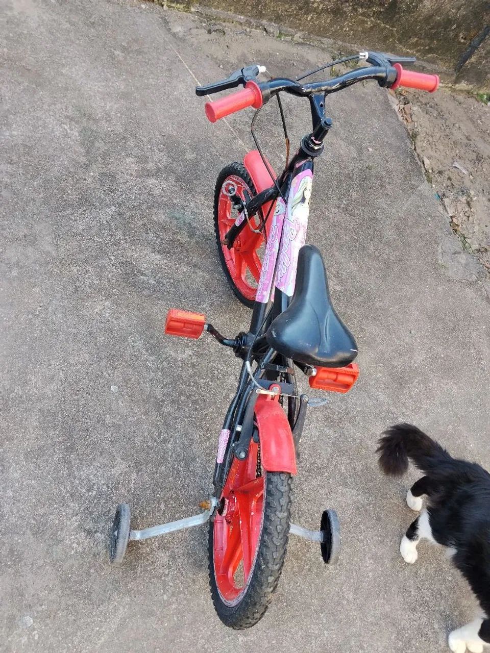 Bicicletas 