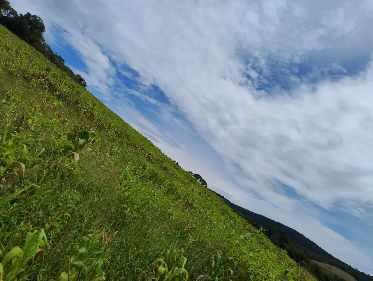 Realize Seu Sonho em Ibiúna - Foto 3