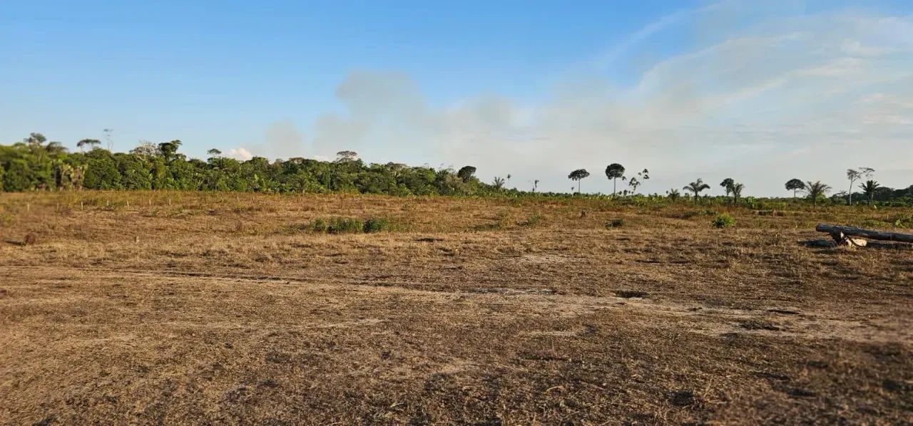Fazenda em Canutama de 954,00 HA - Foto 2