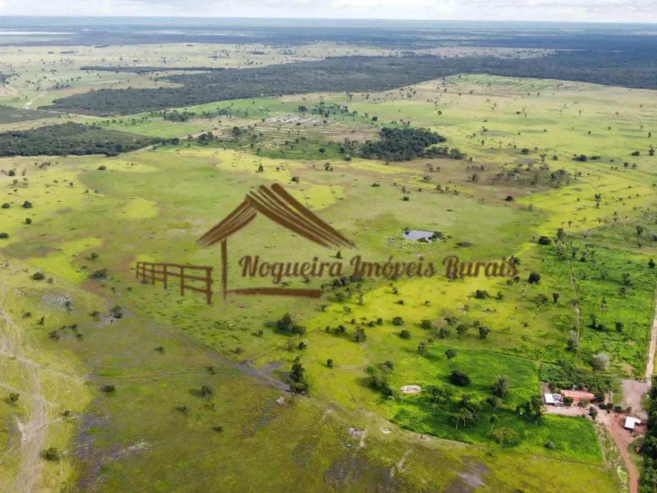 Fazenda com 130 alqueirão à venda no Tocantins - Foto 3