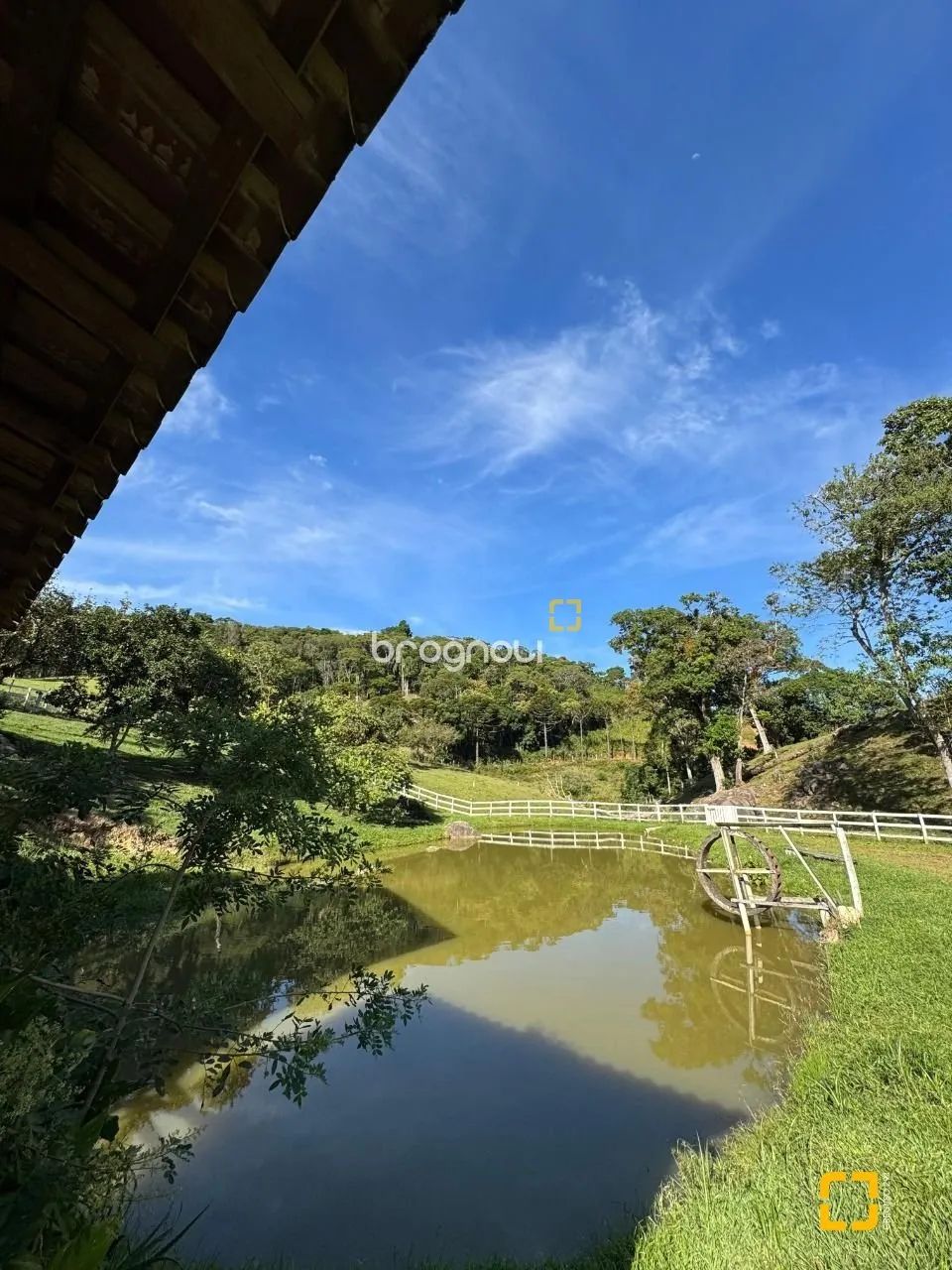 Sitio com 4.500 m2 com casa de 3 dormitórios, Potecas, São José, SC. - Foto 5