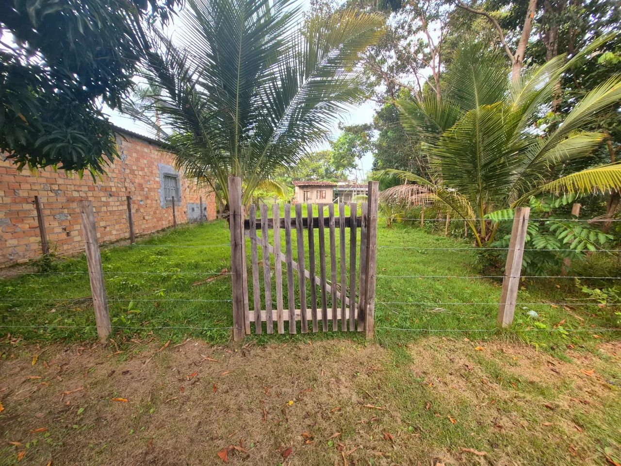 Terreno em Cotijuba - Vai quem quer