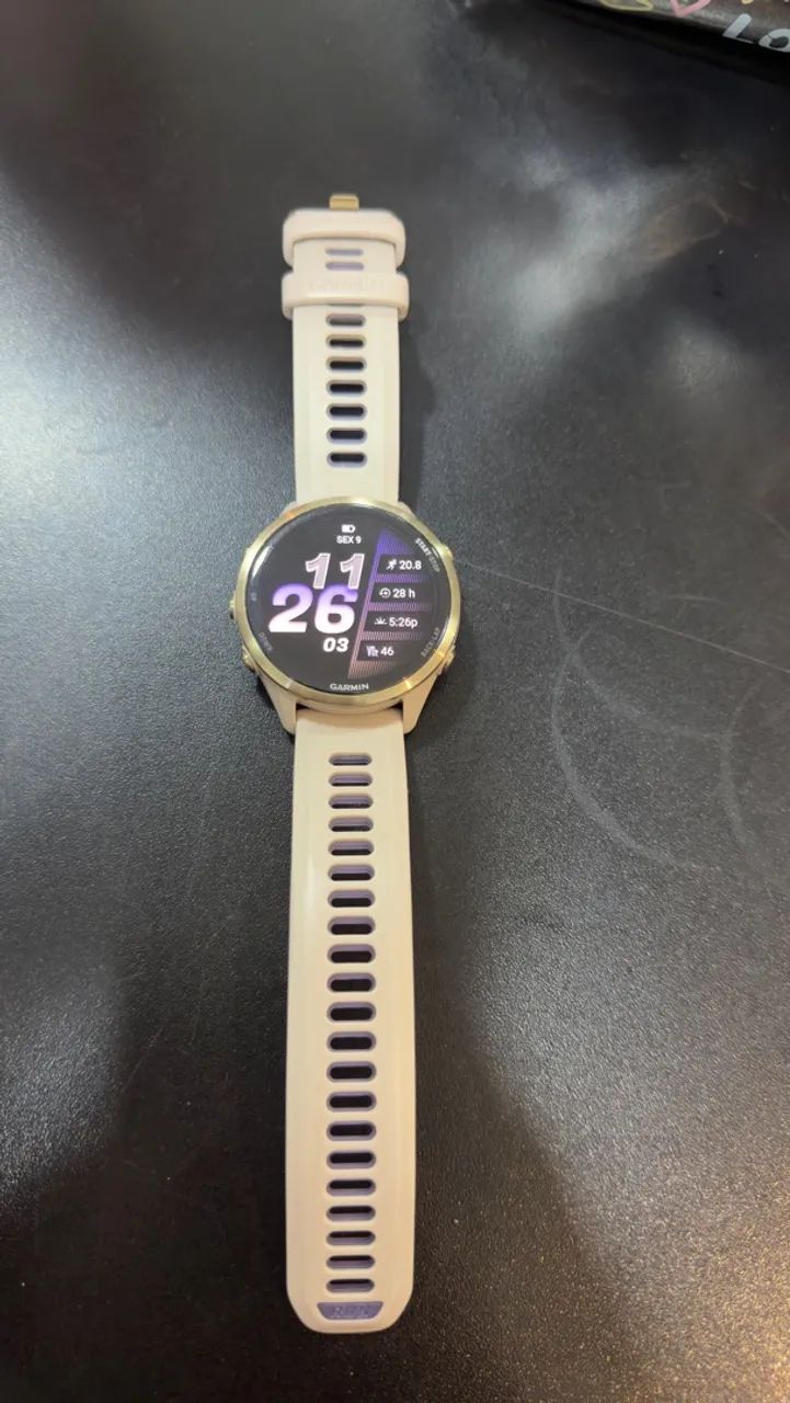 Garmin 970 Gold 