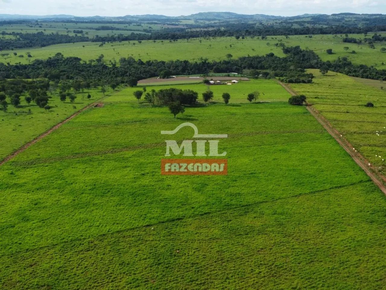 Chacara 8,24 alqueires (39 ha) Taquaral - GO - Foto 3