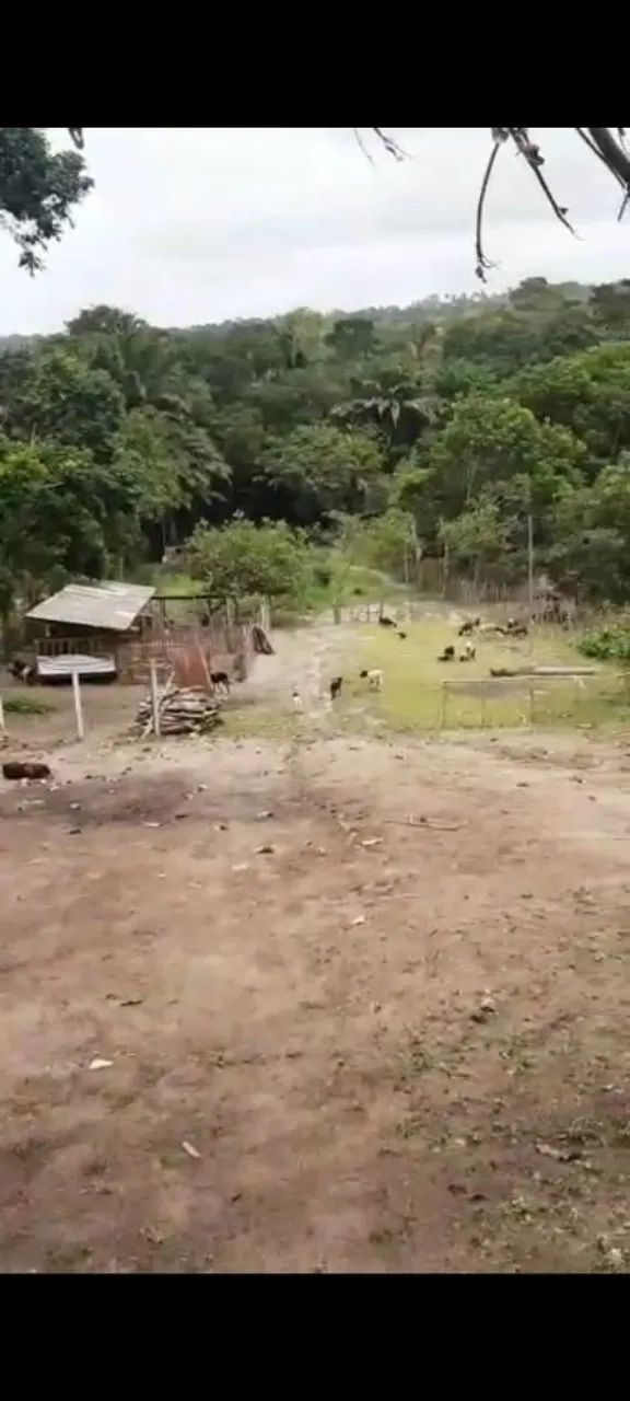 Granja no Conde - Foto 2