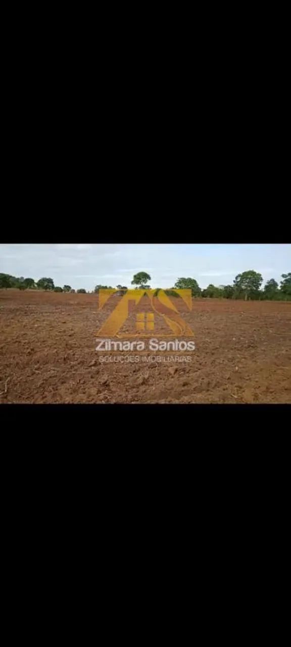 Fazenda com 1 Quarto à Venda, Setor Central - Cristalândia - Foto 4