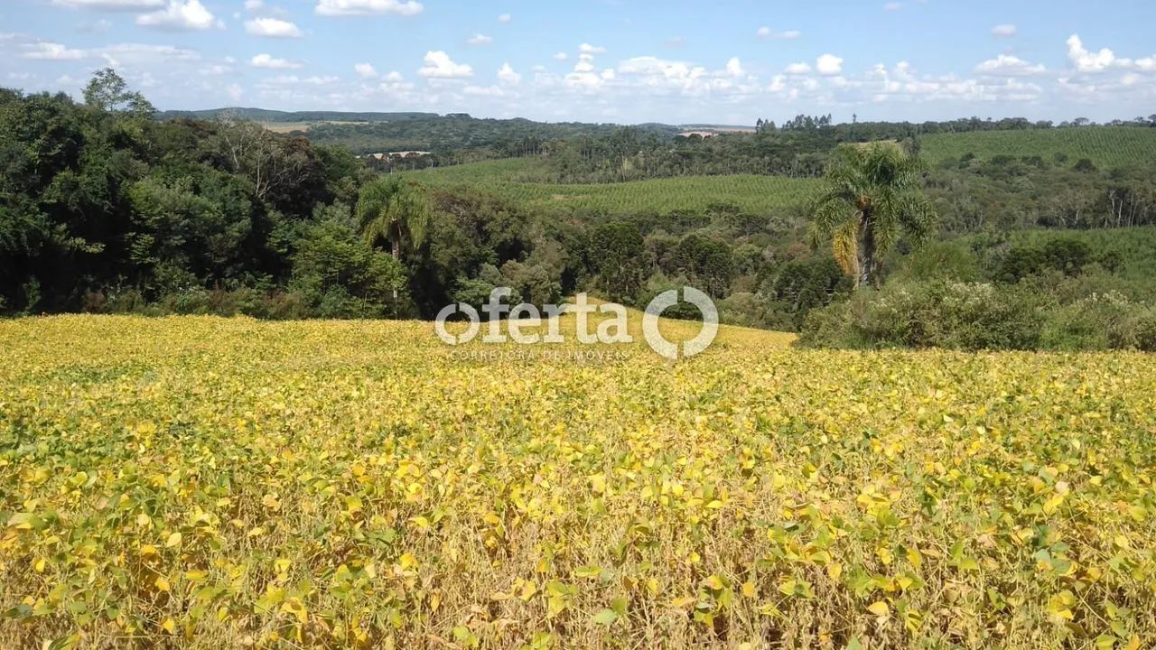 Chácara/Terreno na Lapa - Foto 2