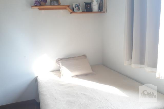 Apartamento à venda com 3 dormitórios em Salgado filho, Belo horizonte cod:249666 - Foto 10