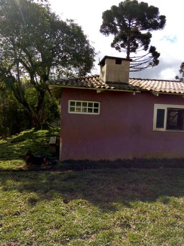 Chácara em São José dos Pinhais - Foto 9