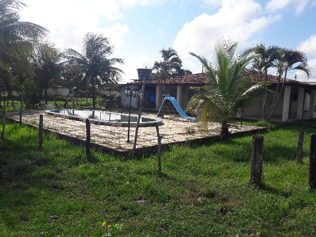 Fazenda psicultura - Foto 3