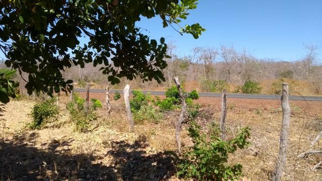 Área rural com 2 mil hectares em Piracuruca, agricultável e excelente logística! - Foto 3