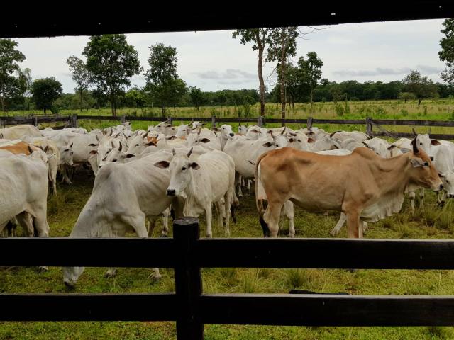 Fazenda c/ 357 alqueires em Porto Esperidião - Foto 3