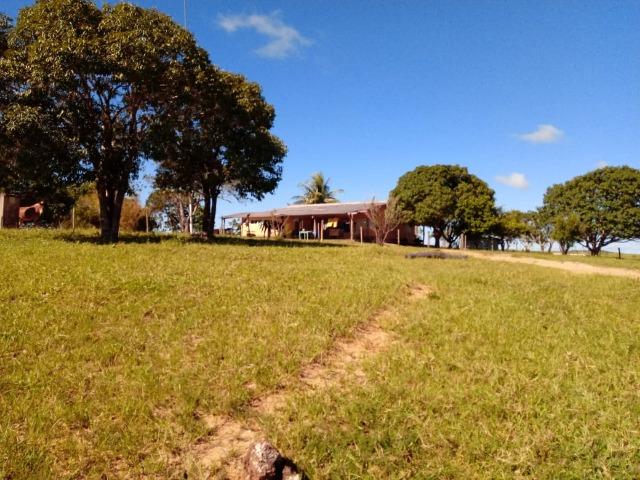 1586 Hectares, Municipio de Camapuã MS - Foto 8