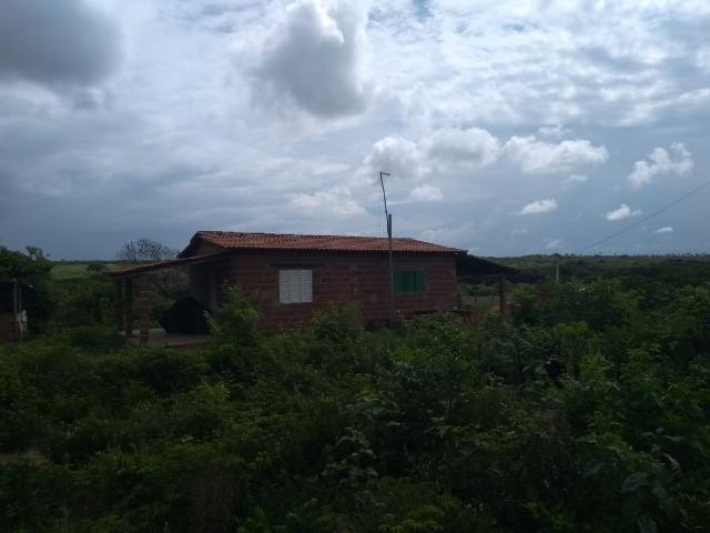 Granja BR 101 1 Hectare Arisco Paú Casa Sede Energia Elétrica Rio Maxaranguape 1km da BR - Foto 6