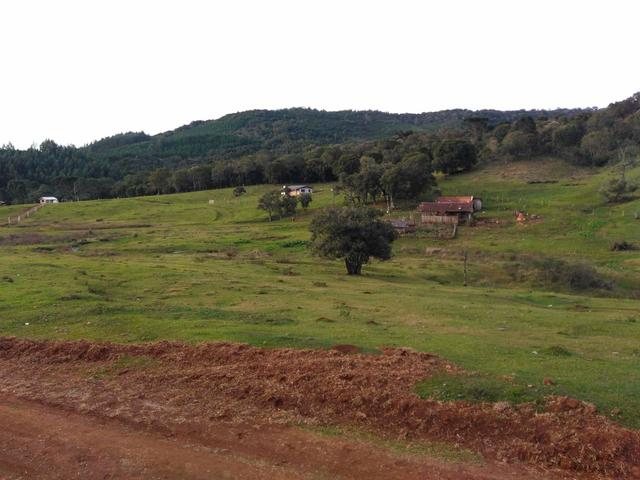 Fazenda de 93 Alqueires .Guabiroba - Guarapuava PR .R$ 30 mil por Alqueire - Foto 4
