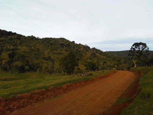 Fazenda de 93 Alqueires .Guabiroba - Guarapuava PR .R$ 30 mil por Alqueire - Foto 6