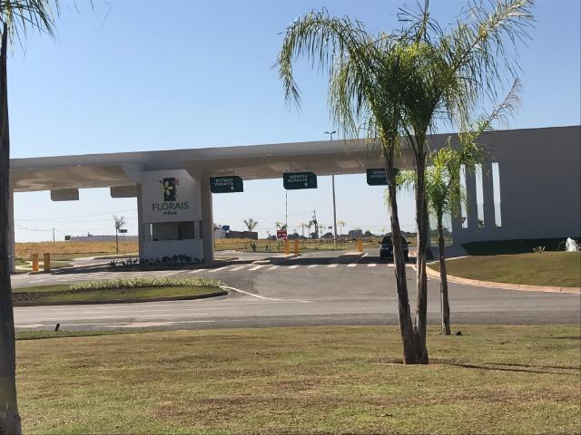 Florais Itália - Oportunidade