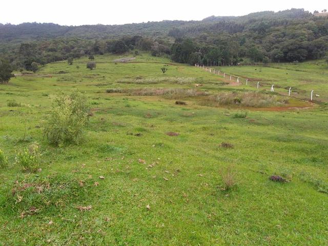 Fazenda de 93 Alqueires .Guabiroba - Guarapuava PR .R$ 30 mil por Alqueire - Foto 11