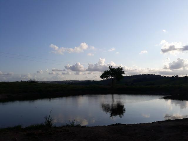 Vendo propriedade união dos Palmares - Foto 5