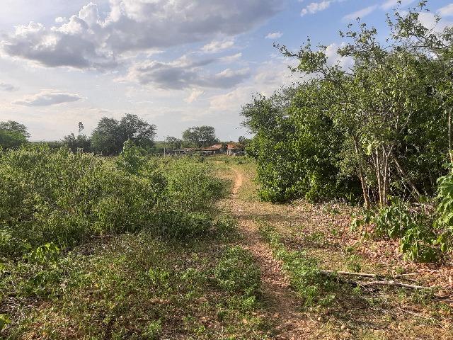 Vendo fazenda ou troco - Foto 2