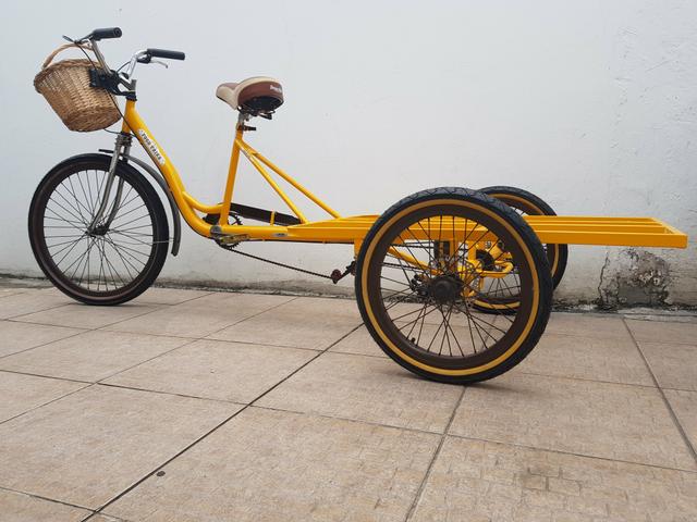 Bicicleta triciclo